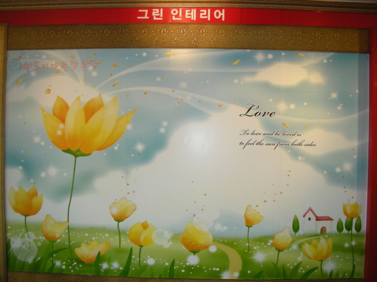 도배